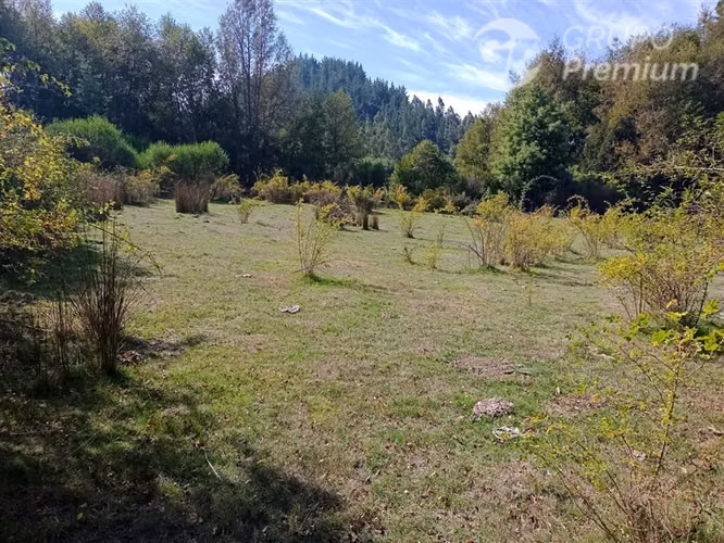 Sitio en venta en Quirihue