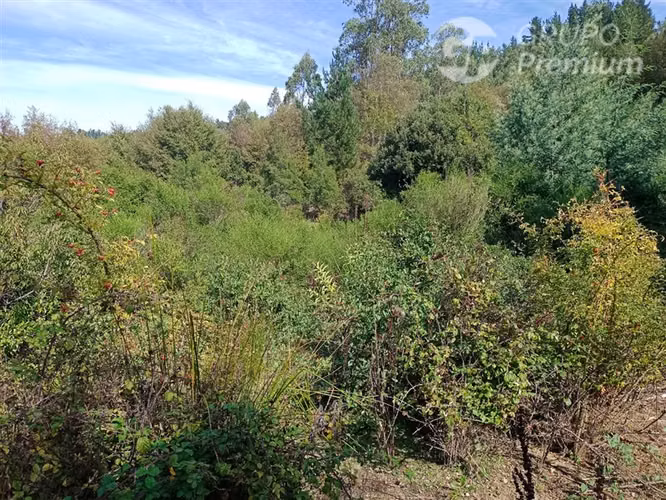 Sitio en venta en Quirihue