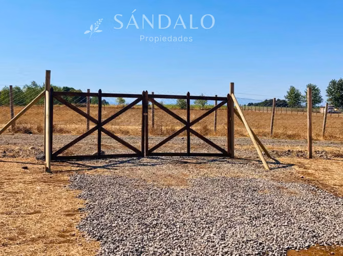 ESCAPA DEL RUIDO, VIVE EN LO PINTO - Imagen 5