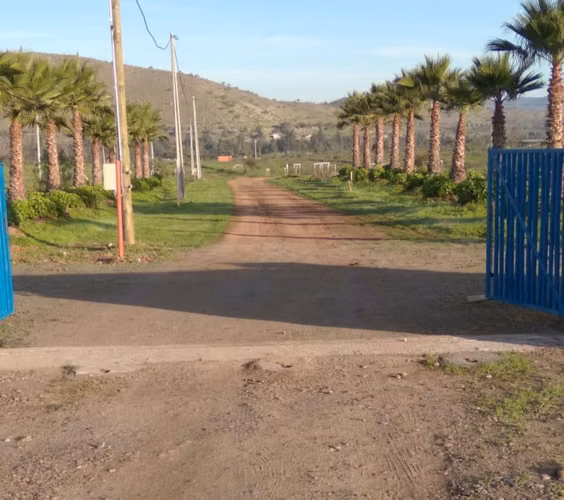 Parcela a minutos de Punitaqui y Ovalle en carretera