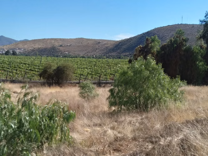 Parcela a minutos de Punitaqui y Ovalle en carretera