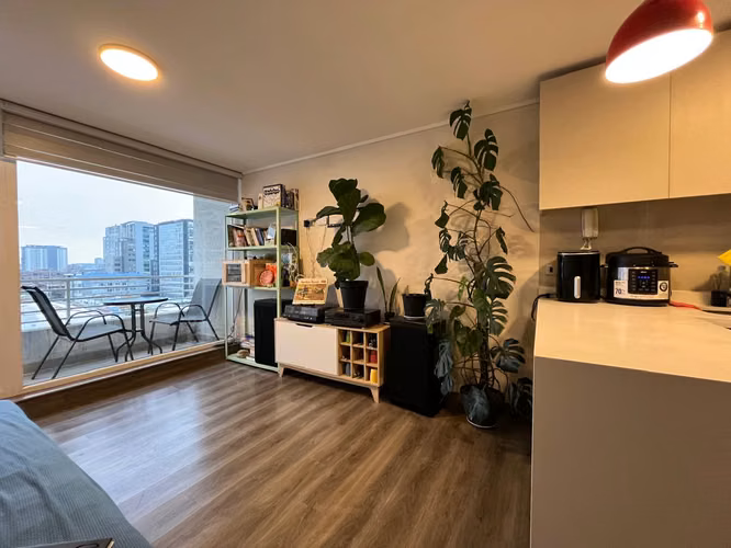 Acogedor departamento, asoleado, 2 dormitorios, central. - Imagen 5