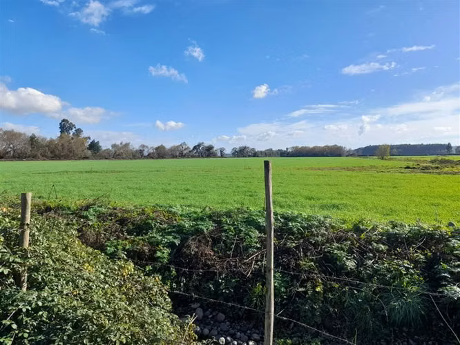 Agrícola en Arriendo en Talca