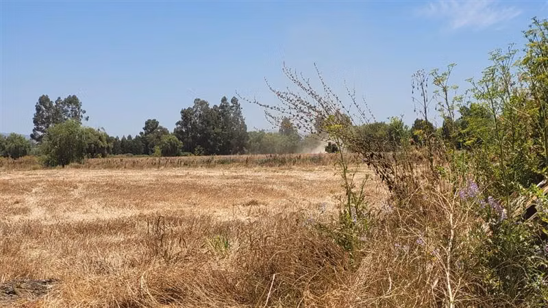 Agrícola en Arriendo en Talca