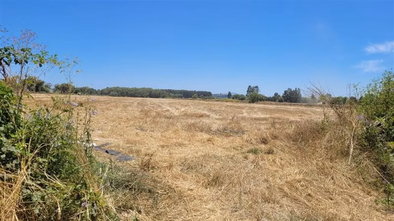 Terreno Construccion  en Arriendo en Talca