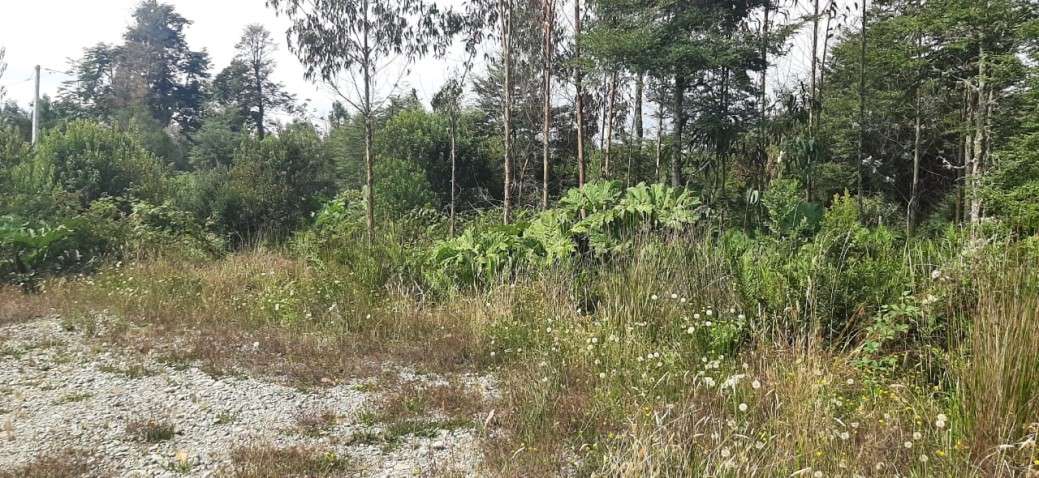 Parcela Parque el Tepual 5000m2 - Imagen 2