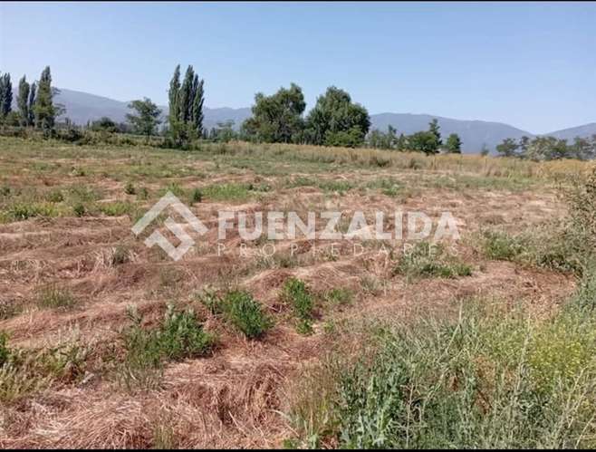 Sitio en venta en San Vicente - Imagen 4