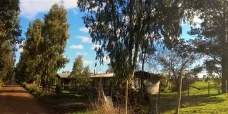 Oportunidad Se Vende Campo Agrícola 14 hec Sector Parrar