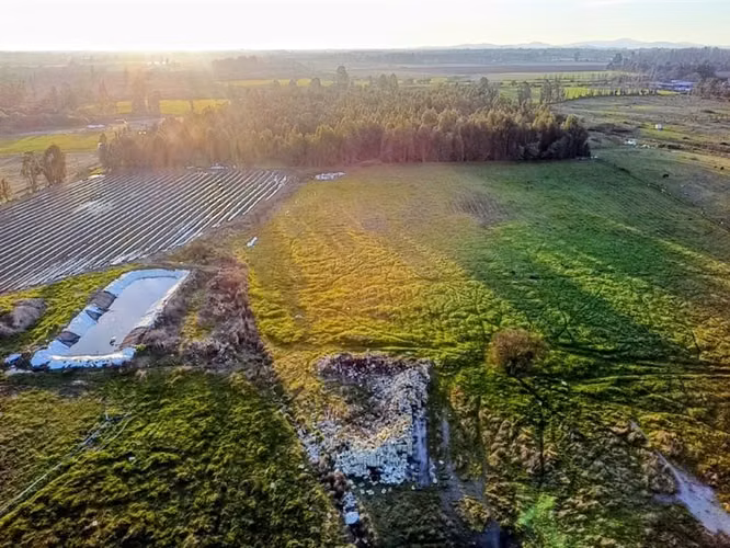 Oportunidad Se Vende Campo Agrícola 14 hec Sector Parrar