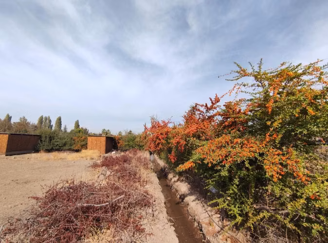 Inversión Asegurada en Zona Estratégica (158654)