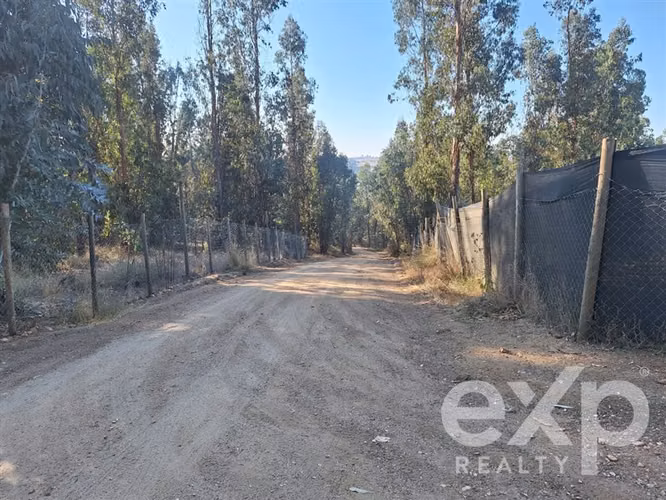Casa en arriendo de 4 dorm. en Marchigüe
