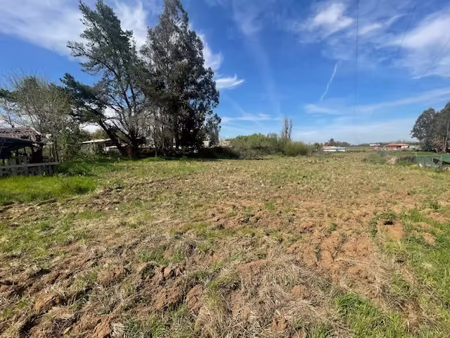 “VENDE PARCELA 1/2 HA (PELARCO)”