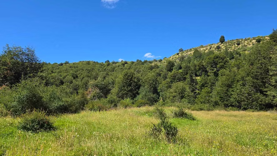 Extenso terreno en Bahia Murta orilla río (158756)