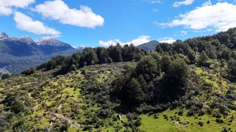 Extenso terreno en Bahia Murta orilla río (158756)