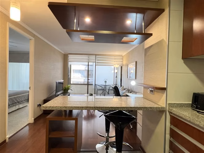 Venta Depto Santo Domingo 1450. Santiago. 1D1B con Bodega