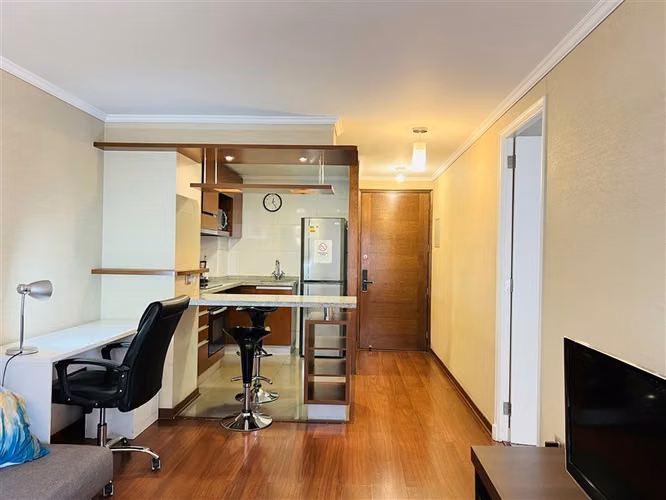 Venta Depto Santo Domingo 1450. Santiago. 1D1B con Bodega
