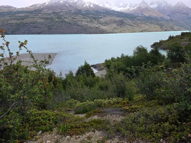 442 hectáreas orilla lago O´higgins, Aysén (158800)