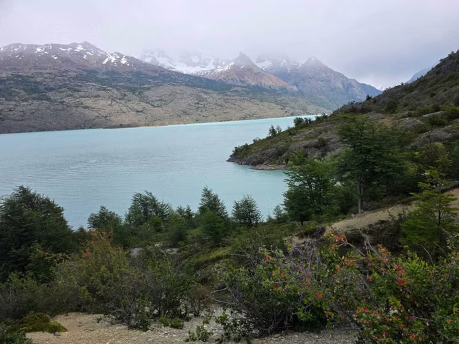 442 hectáreas orilla lago O´higgins, Aysén (158800)