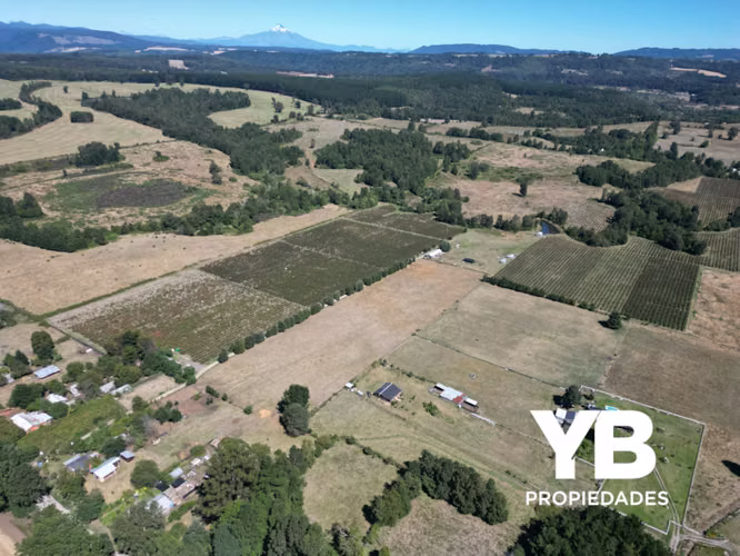 Venta Campo Cunco Laureles (35 Hectáreas) - Imagen 4