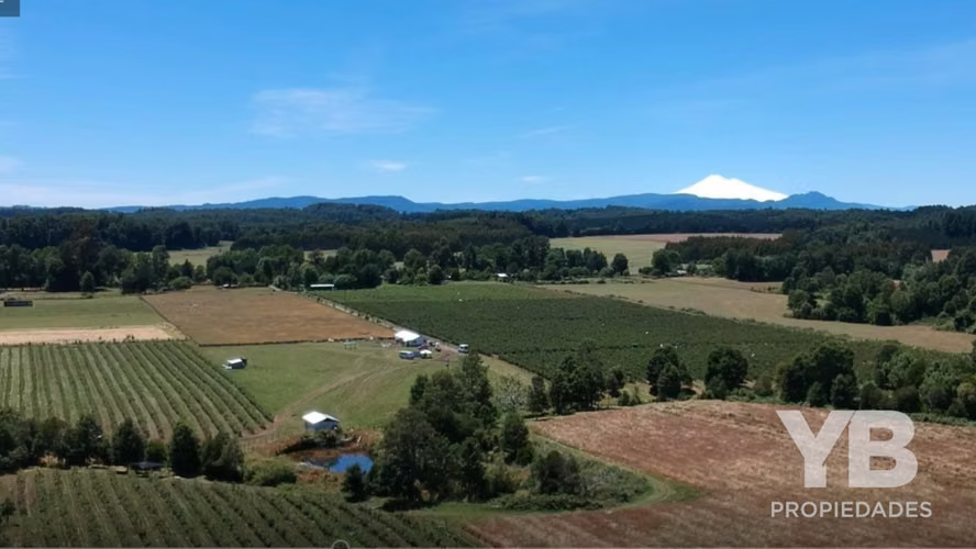 Venta Campo Cunco Laureles (35 Hectáreas)