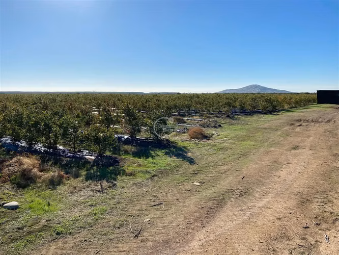 Agrícola en venta en Cauquenes