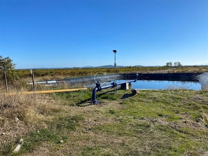 Agrícola en venta en Cauquenes