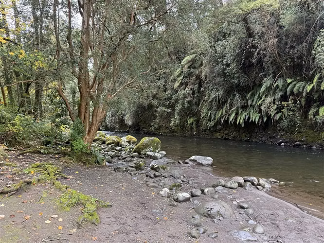 Parcela en venta con 4 cabañas Puerto Varas