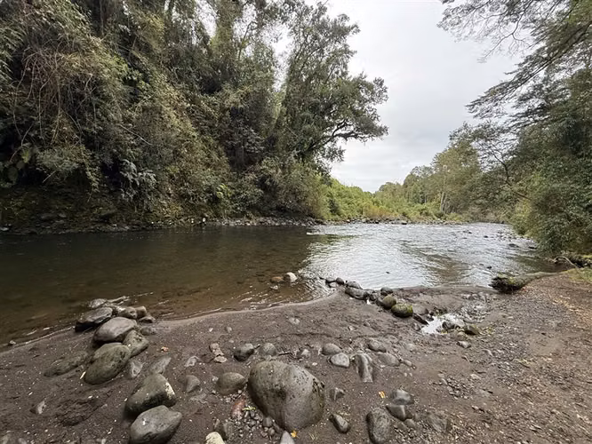 Parcela en venta con 4 cabañas Puerto Varas