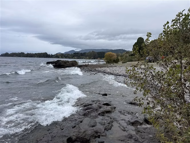 Parcela en venta con 4 cabañas Puerto Varas
