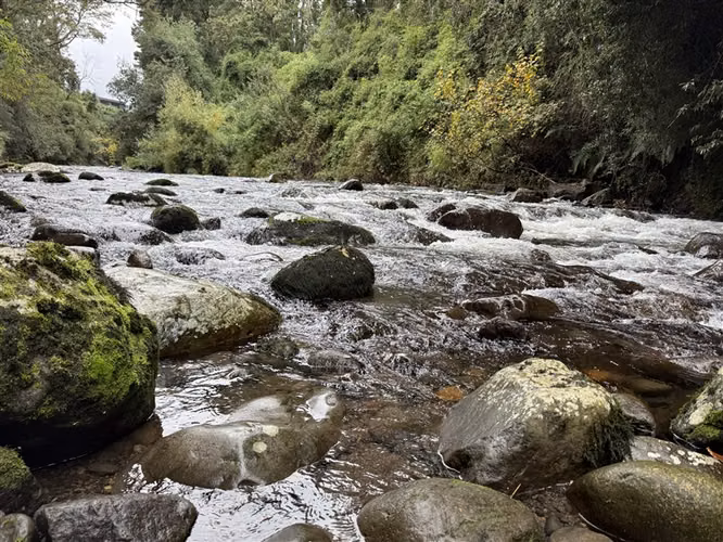 Parcela en venta con 4 cabañas Puerto Varas