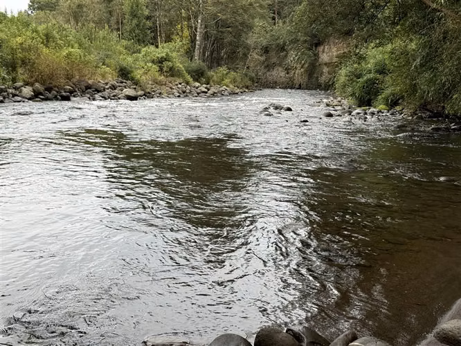 Parcela en venta con 4 cabañas Puerto Varas