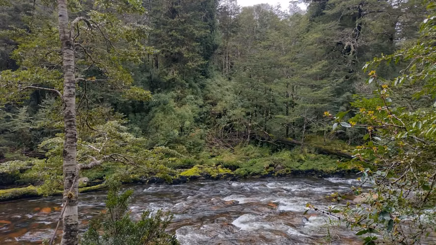 Predio de 5 hectáreas en Río Cóndor - Puerto Aysén - Región de Aysén