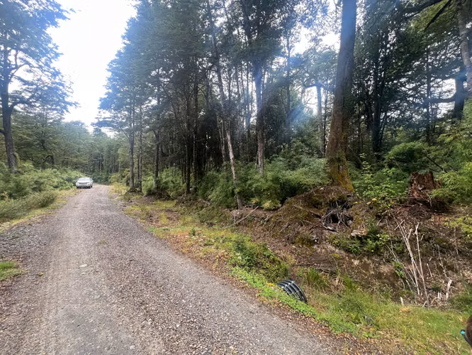 Predio de 5 hectáreas en Río Cóndor - Puerto Aysén - Región de Aysén