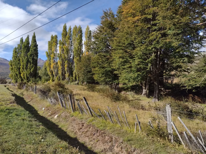 Parcelas de 1 hectárea en sector Bajada Ibáñez - Río Ibáñez - Región de Aysén