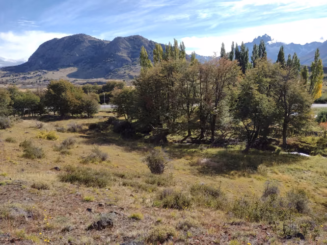 Parcelas de 1 hectárea en sector Bajada Ibáñez - Río Ibáñez - Región de Aysén