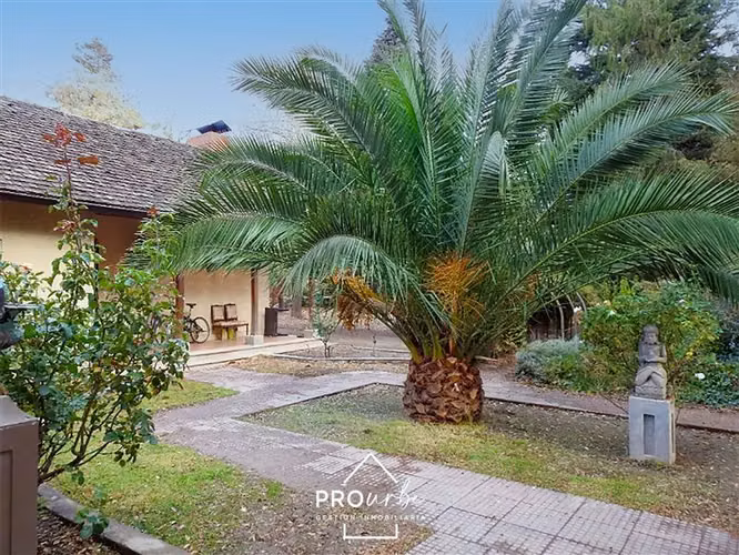 Venta Casa en sitio de 5.000 m2, El Manzano, S. Jose Maipo