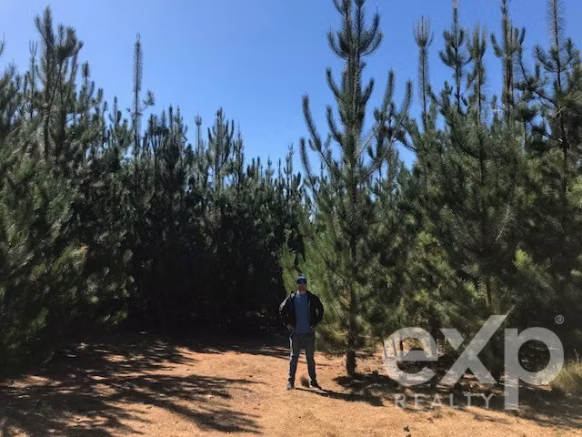 Sitio en venta en Constitución