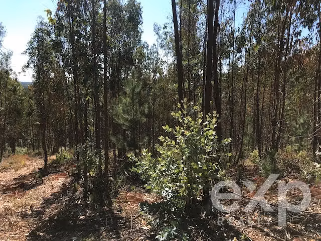 Sitio en venta en Constitución