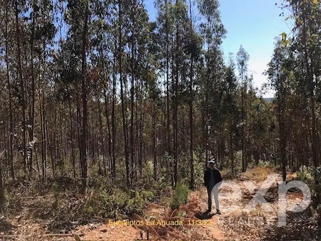 Sitio en venta en Constitución