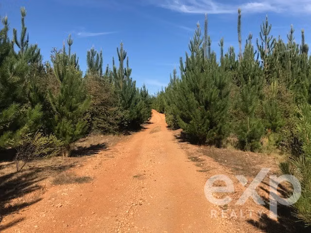 Terreno Construccion en venta en Constitución