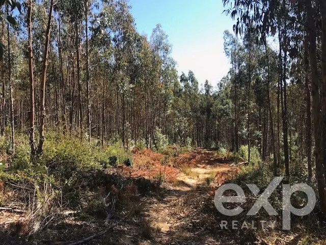 Terreno Construccion en venta en Constitución