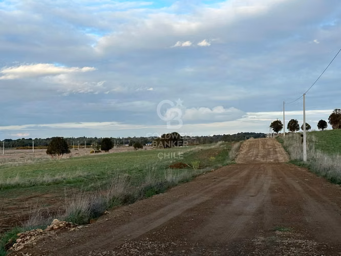 Parcelas Agrícolas en Maullín, luz y agua, acceso