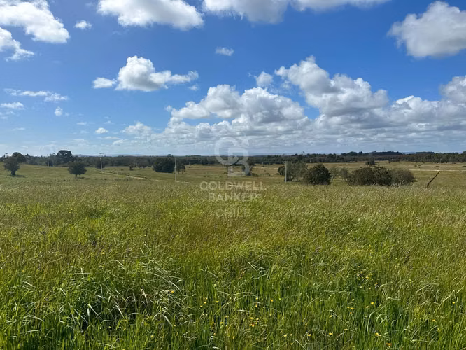 Parcelas Agrícolas en Maullín, luz y agua, acceso