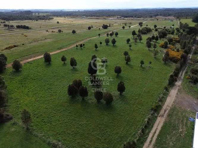 Parcelas Agrícolas en Maullín, luz y agua, acceso