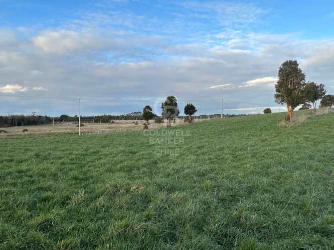 Parcelas Agrícolas en Maullín, luz y agua, acceso