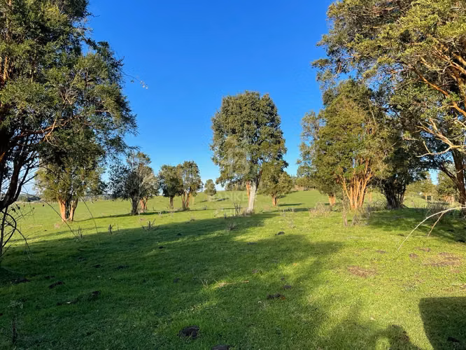 Parcelas Agrícolas en Maullín, luz y agua, acceso