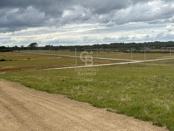 Parcelas Agrícolas en Maullín, luz y agua, acceso
