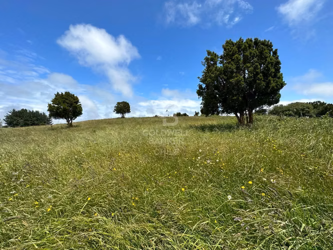 Parcelas Agrícolas en Maullín, luz y agua, acceso