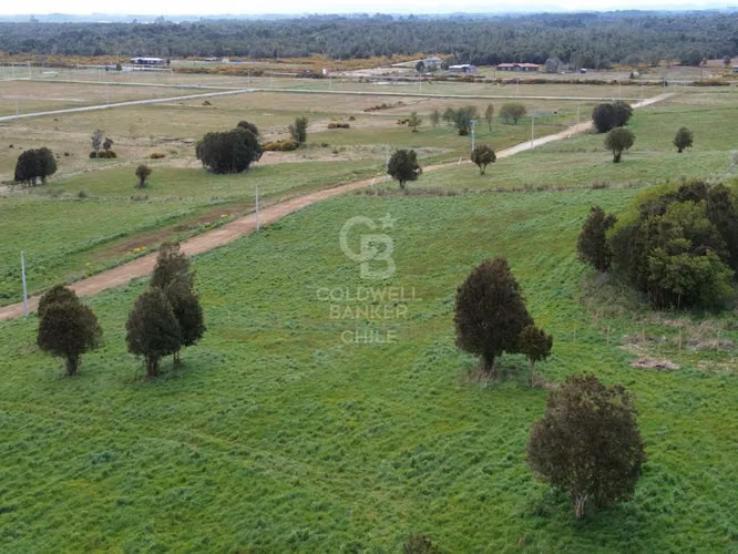 Parcelas Agrícolas en Maullín, luz y agua, acceso