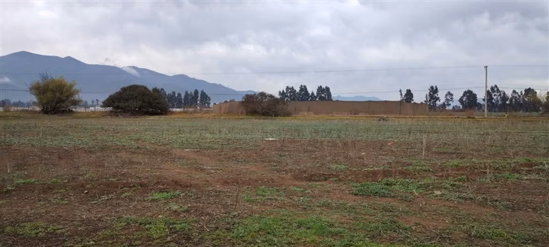 Sitio en venta en Pan de Azucar, Coquimbo